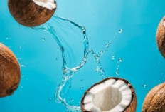 Manfaat Minum Air Kelapa saat Berbuka Puasa