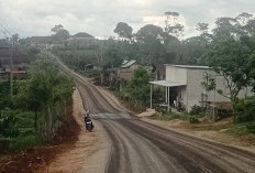 Pembangunan Jalan Sekincau–Waspada Dikebut