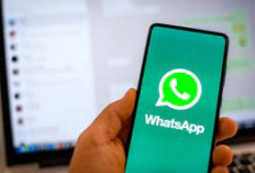   Cara Ganti Background dan Pakai Filter di Video Call WhatsApp