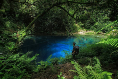 Danau Kaco: Kilauan Permata  di Jantung Hutan Kerinci