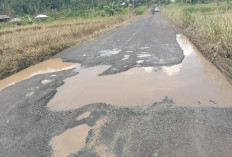 Jalan Rusak Parah, Warga Tribudi Syukur Minta Pemprov Bertindak