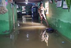 27 Rumah di Karya Penggawa  Terdampak Banjir Way Laay