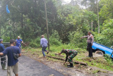 Kijang Pick Up Masuk Jurang di Jalan Liwa-Krui