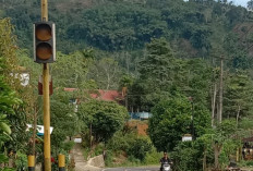 Warning Light Dibiarkan Rusak 