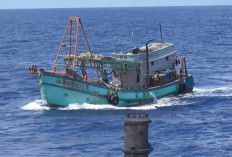41 Kapal Ikan Ilegal Ditangkap di Natuna Utara