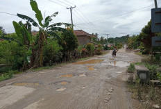 Jalan Provinsi di BNS Rusak Parah