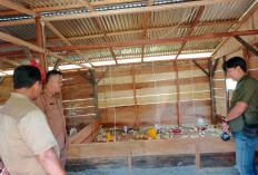 Bumdes Berkah Jaya Tengah  Kembangkan Ayam Broile