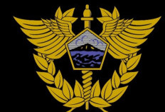 7 Tips Menghindari Biaya dan Penyitaan di Pengecekan Bea Cukai