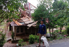 Diterjang Angin Kencang Atap Rumah Semi Permanen di Pekon Rawas Ambruk 