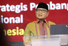 Burhanuddin Abdullah: Dari Ekonom Terkenal hingga Isu Inisiator Danantara
