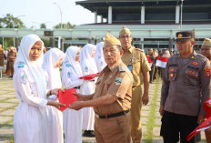 Sambut HUT RI, Pemkab Pesisir Barat Bagikan 3.460 Bendera Merah Putih