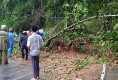 Respons Cepat Setiap Laporan Bencana Alam  BPBD Siagakan Anggota Satlak