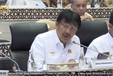 Biaya Penerbangan Meroket, Pemerintah Kaji Ulang  Formulasi Tarif Tiket Pesawat