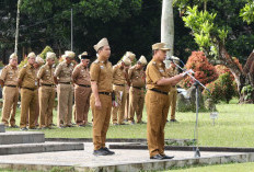Pimpin Apel Perdana di Periode Kedua, Mad Hasnurin Tekankan Pemantapan Program 