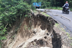 Dilanda Longsor, Jalan Provinsi Ruas Liwa-Ranau Terancam Putus