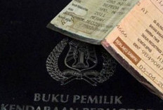 Pemutihan Pajak Kendaraan Bermotor 2024 Dimulai di 10 Provinsi, Ini Lokasinya..