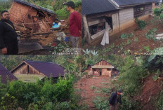 Belasan Gajah Liar Mengamuk, 7 Rumah Warga Rusak Parah 