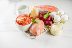 Makanan Sumber Protein Hewani Yang Bisa Dikonsumsi