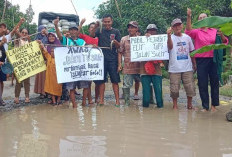 Warga Protes Jalan Rusak dengan Tebar Ribuan Lele di Kubangan