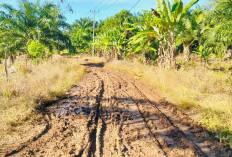 Soal Jalan Penghubung, Bumi Ratu Intensifkan Koordinasi