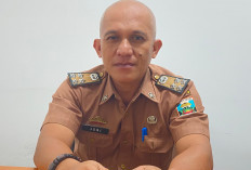 941 Warga Pesbar Bekerja di 84 Perusahaan