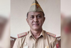 Pemeriksaan Rampung, Disbunnak Lampung Barat Temukan 13 Kasus Cacing Hati 