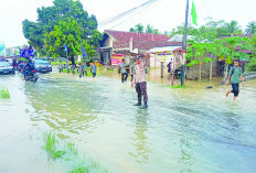 Hujan Deras di Pesbar, Sejumlah Wilayah Banjir 
