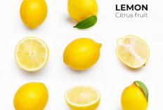 Ampuh! Enam Benda Ini Bisa Dibersihkan Pakai Lemon 