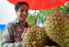 Bolehkah Penderita Kolesterol Tinggi Makan Durian?