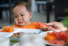 Alasan Bayi Enggan Makan yang Penting Diketahui Bunda