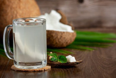 Air Kelapa Muda vs Air Kelapa Tua: Mana yang Lebih Sehat?