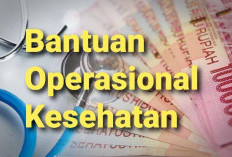 Soal Dana BOK Disorot Kejari, Kadiskes Bandar Lampung Angkat Bicara