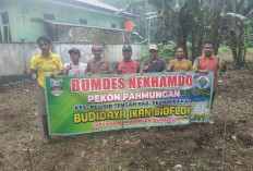 Dorong Ketahanan Pangan,  BUMDes Nekhamdo Fokus  Budidaya Nila Lewat Bioflok