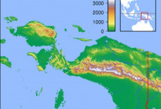 Sejarah dan Perkembangan Kabupaten Nabire, Papua Tengah