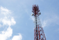 126 Tower Telekomunikasi di Lampung Barat Kantongi Izin PBG 