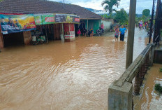 Luapan Sungai Besai Banjiri Puluhan Rumah Warga Di Pekon Purawiwitan 