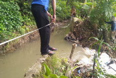 Petani Harapkan Perbaikan  Irigasi Way Laay Kiri