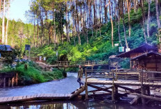 Kampung Singkur Pangalengan, Destinasi Wisata Alam dengan Ragam Aktivitas Menantang