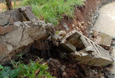 Masyarakat Gedau Berharap Perbaikan Jaringan Irigasi