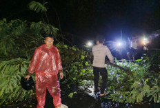Imbau Waspada Bencana  Alam di Sepanjang Jalinbar