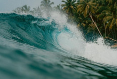 Kisah Korban Selamat Cerita Pengalaman Lari Dikejar Tsunami 100 Meter di Ambon