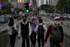 Mayoritas Tenaga Kerja RI Lulusan SD  Sarjana Hanya 13 Persen