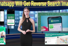  WhatsApp Garap Fitur Reverse Image untuk Perangi Misinformasi