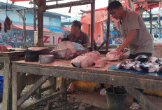 Gelombang Tinggi  Hambat Nelayan  Pasokan Ikan Berkurang