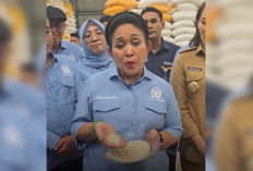 Sidak Mengejutkan di Gudang Bulog, DPR Temukan Beras Abu-abu  Tak Layak Konsumsi