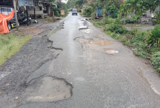 Berharap Akses Jalan Menuju  SMAN 1 Waytenong Dibangun 