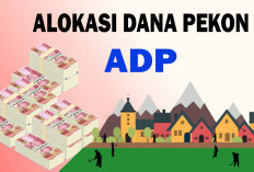 DPMP Imbau Ajukan Usulan Pencairan ADP Triwulan III