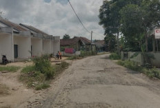 Tangani Kerusakan Jalan Pasar Senin, Pemkab Lambar Alokasikan Rp112 Juta 