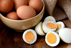Telur Rebus: Kepraktisan dan Cara Menyimpan yang Benar Agar Tetap Sehat