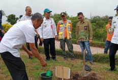Bersama Rainforest Alliance, Pekon Bedudu Tanam 1000 Pohon di KRL